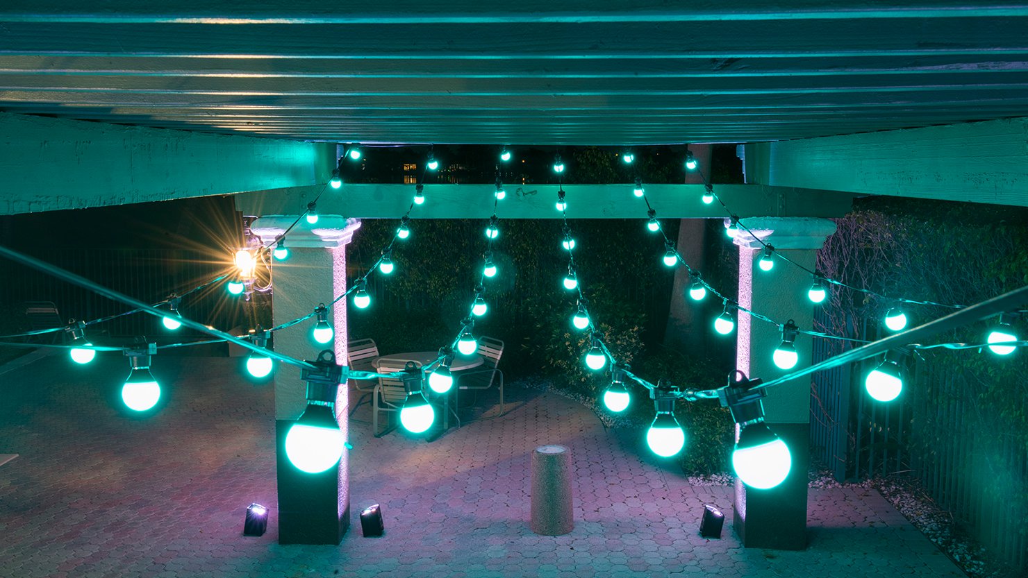 gal festoon 5.jpg