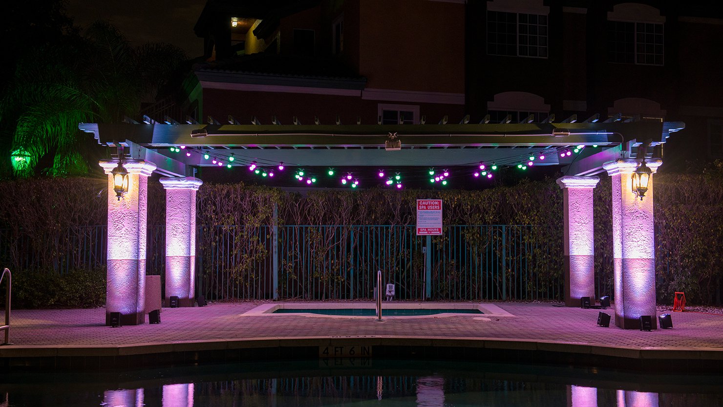 gal festoon 7.jpg